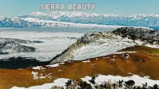 Peaceful 4K Nature Film | Mammoth Lakes Basin & C