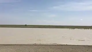 Zebra Spooked
