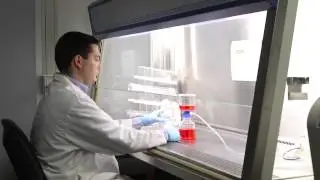 The Best Ways to Prevent Incubator Contamination