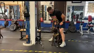 Pull Day at Exercise Warehouse! First Video💪🏼
