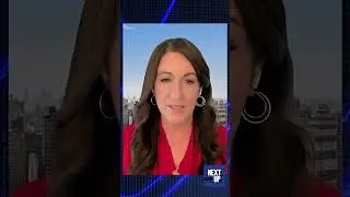 Miranda Devine Defends James Comer&rsquo;s Biden Probe, Says He Was Up Against a Brutal Campaign