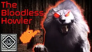 The Bloodless Horror | The Appalachian Chupacabra