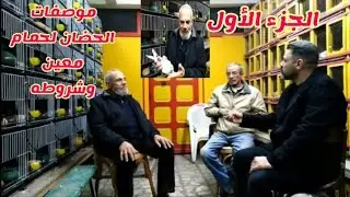 موصفات الحضان لحمام معين وشروطه مع عم فتحى طه حميه الجزء الأول