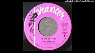 The Critters - No One But You - 1967 Moody Garage Rock