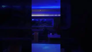SURAT NARARA (  VEPAN FT BPK ECHA COVER ) 