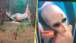 Слишком Много Свидетелей, Чтобы Просто Отмахнуться