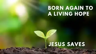 11 January 2026  BORN AGAIN TO A LIVING HOPE