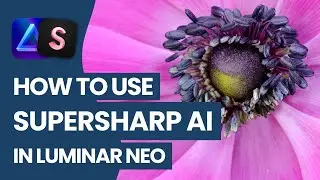 Luminar NEO: как использовать расширение SUPERSHARP AI