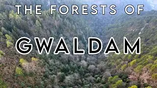 Mystical Uttarakhand || Trip to Kumaon || The forests of Gwaldam