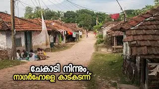 ചേകാടിയിൽ നിന്നും നാഗർഹോള വനത്തിലൂടെ കർണാടക ഉൾഗ്രാമത്തിലേക്ക് #rahimvlogs