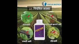 Focus Biotech - Fighter |अळी नियंत्रणासाठी प्रभावी  उपाय | नागअळी, शेंडेअळी, लष्करी अळीवर नियंत्रण