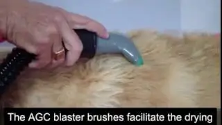 *AGC - GROOMING STATION* BLASTER BRUSHES - DEMO - ENGSUB