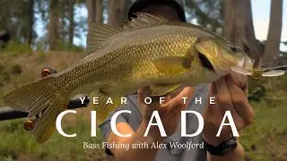 Bass Fishing During a 200-Year Cicada Super Hatch &ndash; With Alex Woolford