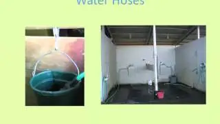 Dr. Katie Flynn - Biosecurity Toolkit for Equine Events
