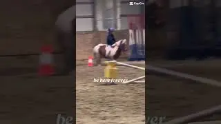 My baby boy he was so good I was the first person to ride him in the new year 