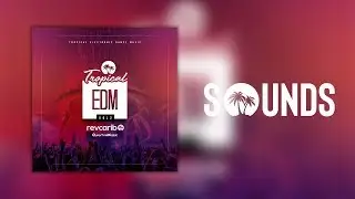 RevSounds: Tropical EDM Mashup (Afro-house & Moombahton) Vol.2