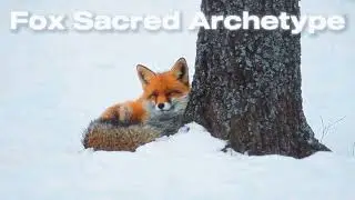FOX Sacred Archetype A Subliminal