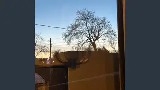 La salsa des rats