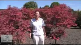 Mchutchison Fisher Farms Virtual Tour