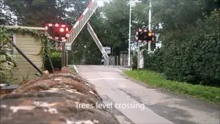 Trees level crossing dodgy alarm and malfunction