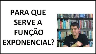EXPONENCIAL - Para que serve essa função?
