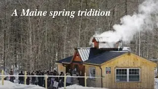 Maine maple syrup 2019