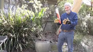 Removing Plant from Urn Shaped Pot Without Breaking the Pot & Make Your Own Better Potting Mix