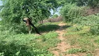 Islamkot -Traveling - wait for the final vlog of natural life of Villages of Sindh