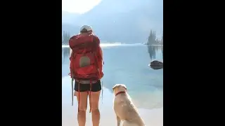 Adventure Gear for Backpacking with Dogs🏔🐕 ☀️
