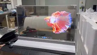 30inch transparent OLED screen