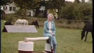 Dogsteps - What To Look For In A Dog DVD Clip – DAN123