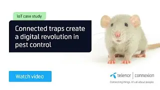 Customer Case:  Anticimex, IoT Revolutionising Pest Control