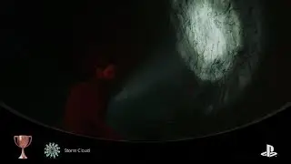 Alan Wake 2: Storm Cloud
