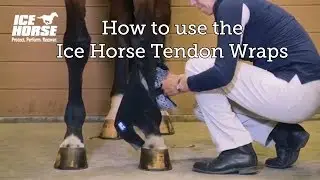 How to apply the Ice Horse Tendon Wraps