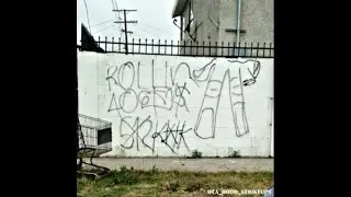Rollin 40s Inception в Neighborhood Crips Alliance, часть 3