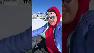 My cat and I enjoy sliding. #snow #cat #love #shorts #shortvideo