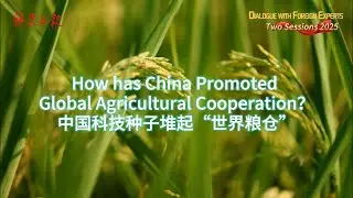 How has China Promoted Global Agricultural Cooperation?