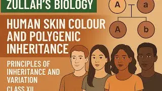 human skin colour polygenic inheritance