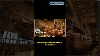 17th-Century Warship Discovery: Baltic Sea Time Gem #shorts #didyouknow #travel8nature