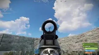 Skjuter ner en fluga. //Rust
