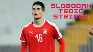 Slobodan Tedić | FK Čukarički - Goals, Assists and Best Skills