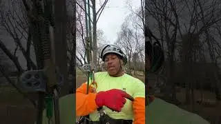 Throwball Getting Stuck on a Job in Kernersville, NC March 2023 #TreeBoi4Life