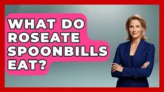 What Do Roseate Spoonbills Eat? - Bird Watching Diaries