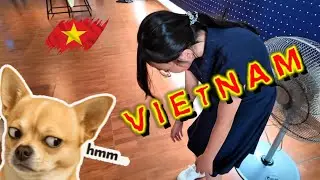 🇻🇳Kurd vlog last day in Nha Trang p21/٢ ڕۆژ گەشت و کۆتایی گەشتەکەمان بۆ شاریی دلات