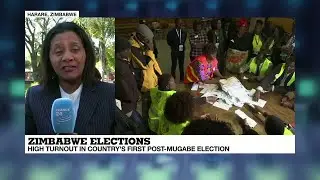 Zimbabwe elections: credible result is key to attract foreign investment