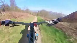 Surf n bird at bike park wales