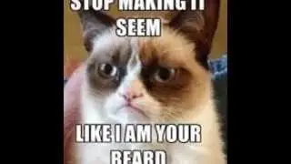 cat beard compilation