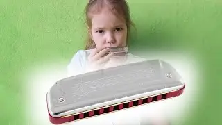 Hohner Golden Melody 542. Губная гармошка &mdash; это просто!