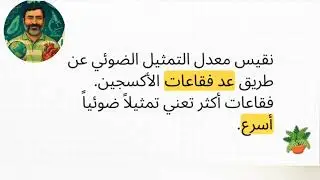 تأثير طول موجة الضوء على معدل التمثيل الضوئي 