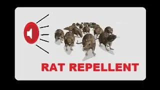 ANTI RAT REPELLENT - MOUSE KILLER SOUND - VERY HIGH PITCH SOUND 10 Hrs